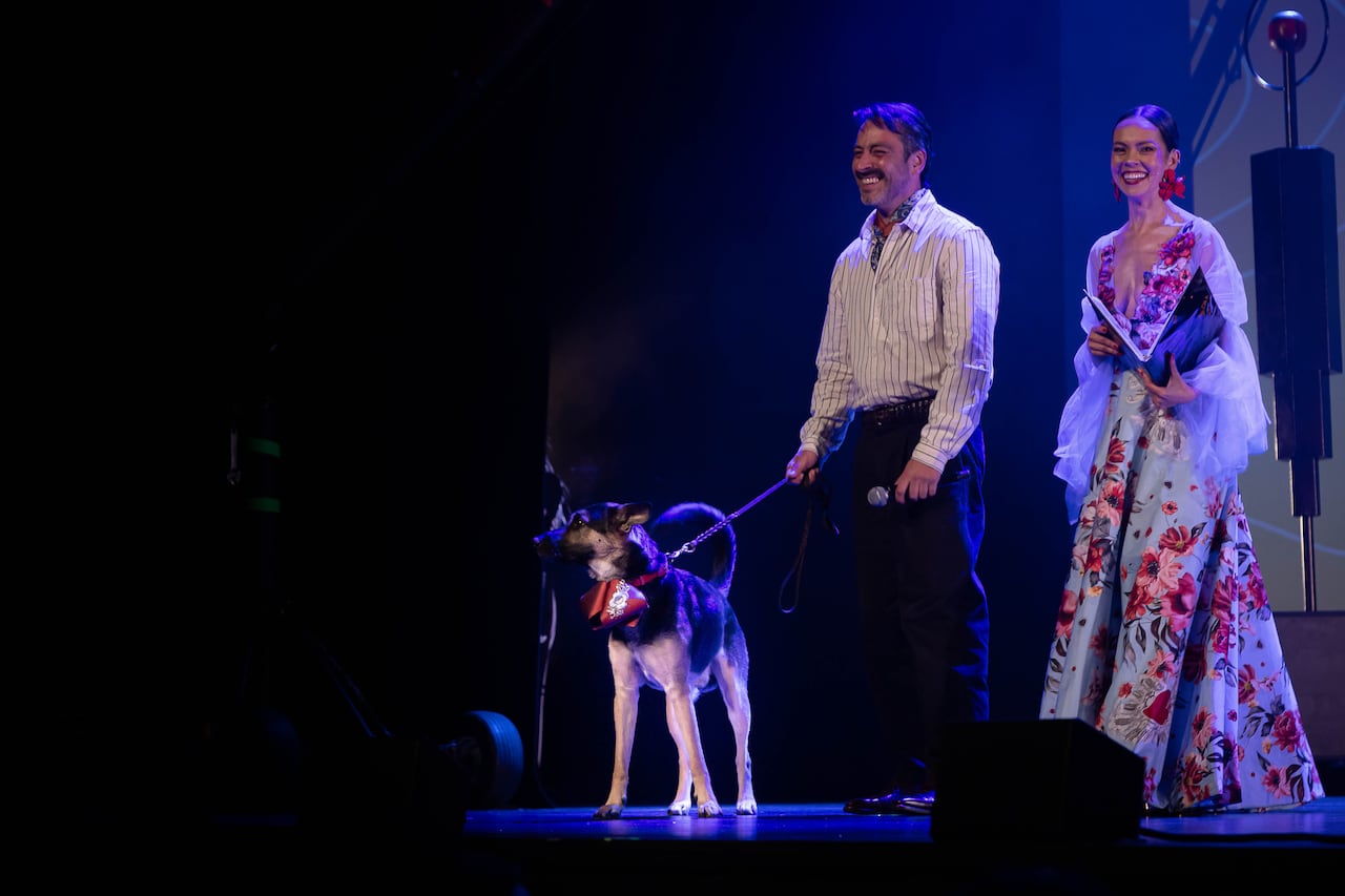 El arte y la creatividad se tomaron el Teatro Colón