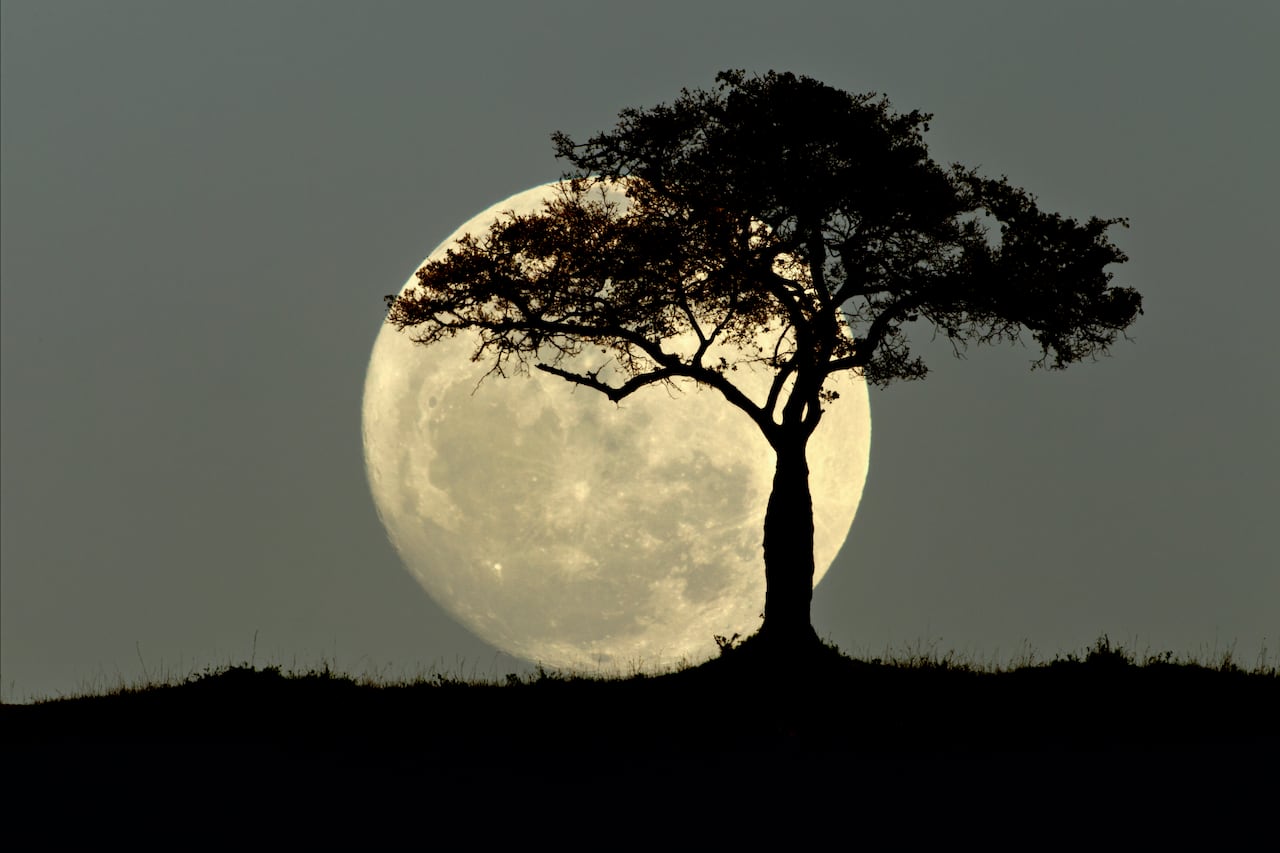 Luna Llena