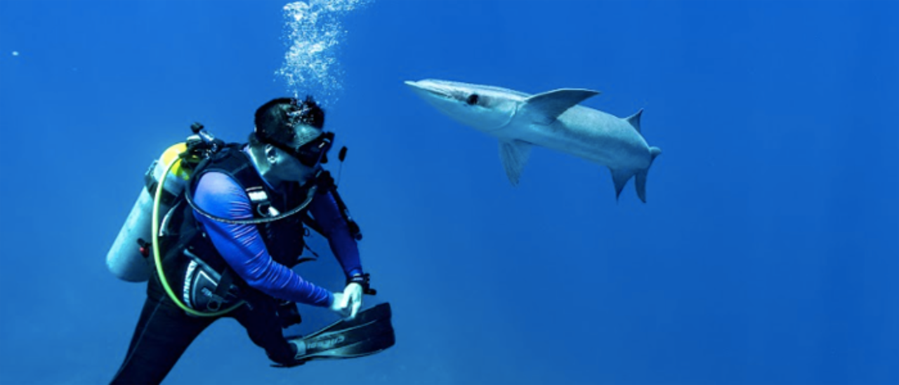 The Family Coppola Hideaways, Guatemala y Belice