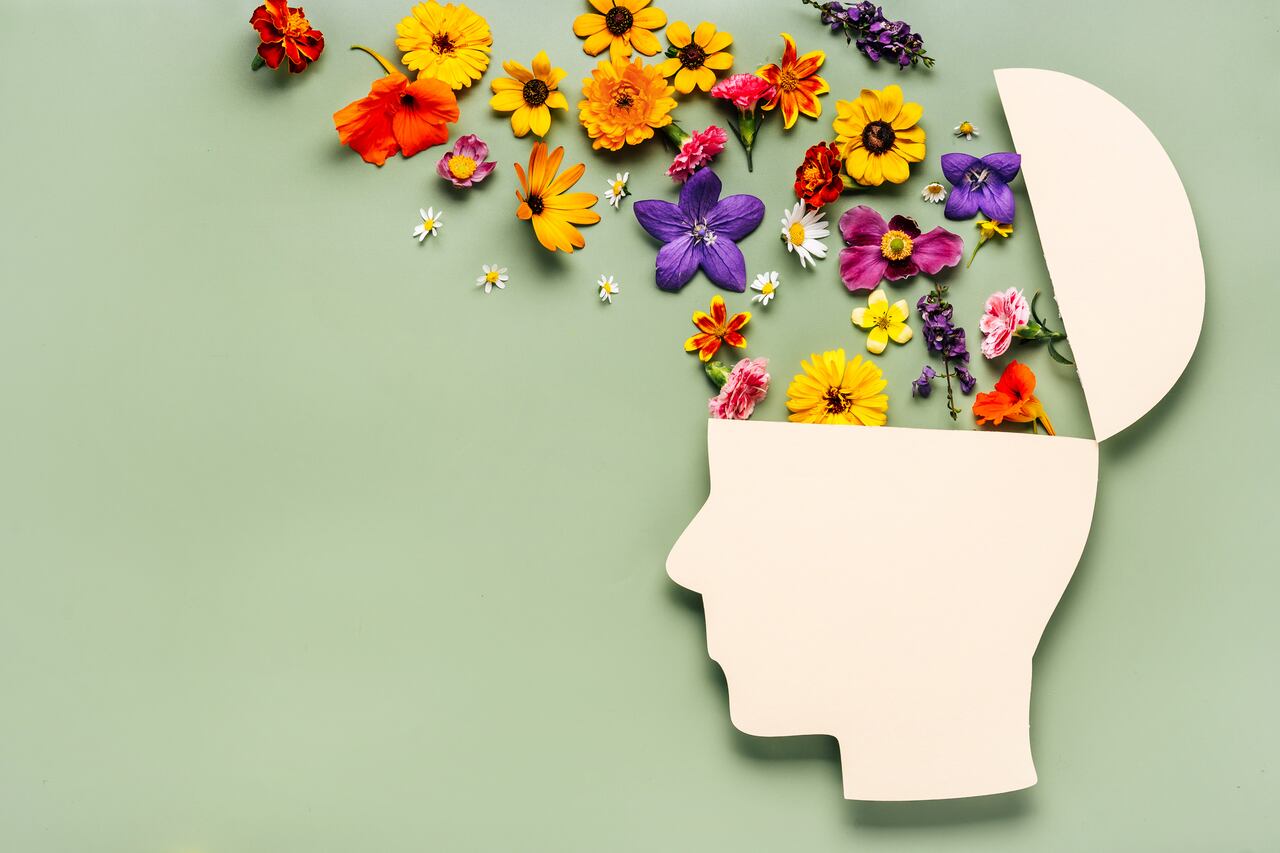 La importancia del Día Mundial de la Salud Mental como un recordatorio de que la salud mental es un derecho humano universal se destaca en este artículo.