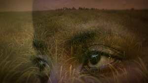 Cortesía 6ª Muestra Afro - Cinemateca de Bogotá