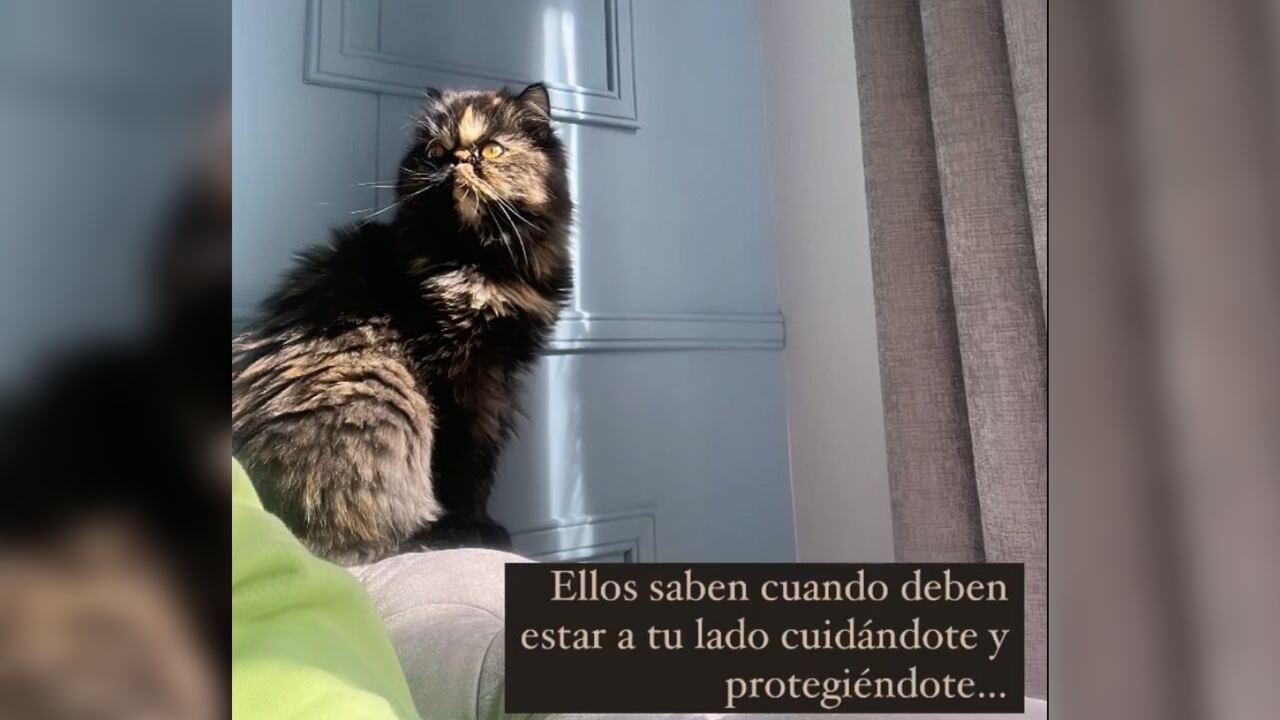 Historia que compartió el presentador Ariel Osorio este 19 de octubre.