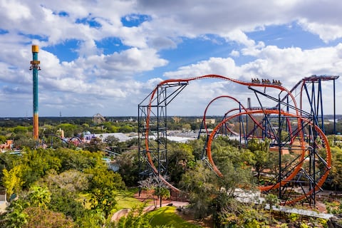 Busch Gardens Tampa: adrenalina, velocidad y magia en cada giro