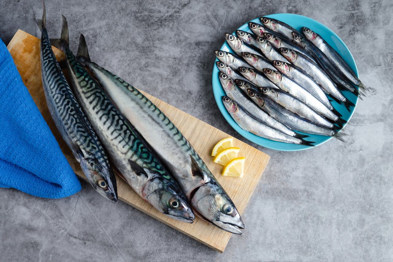 Pescado azul