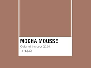 A color palette for the year 2025. The color is Mocha Mousse Pantone. The palette is square. The palette is on a white background