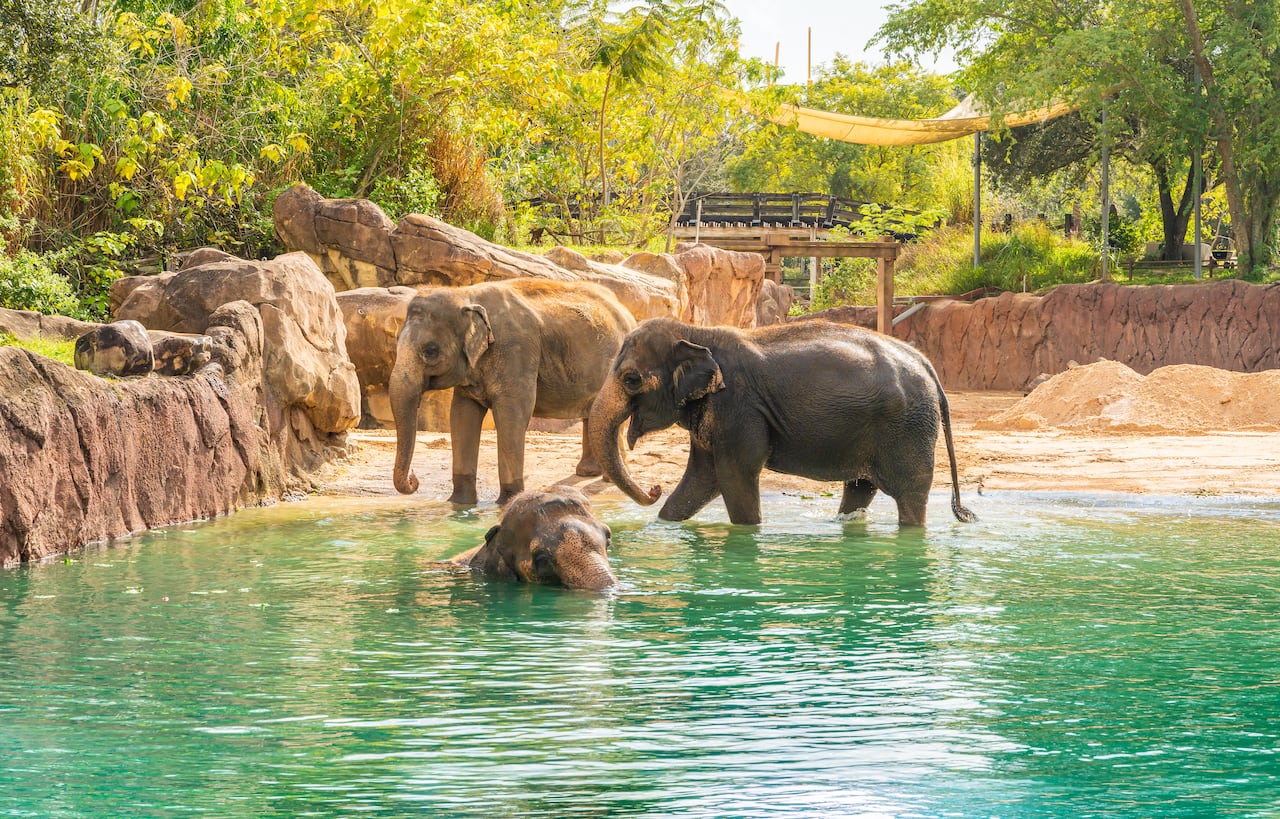 el lado natural de los parques de Florida