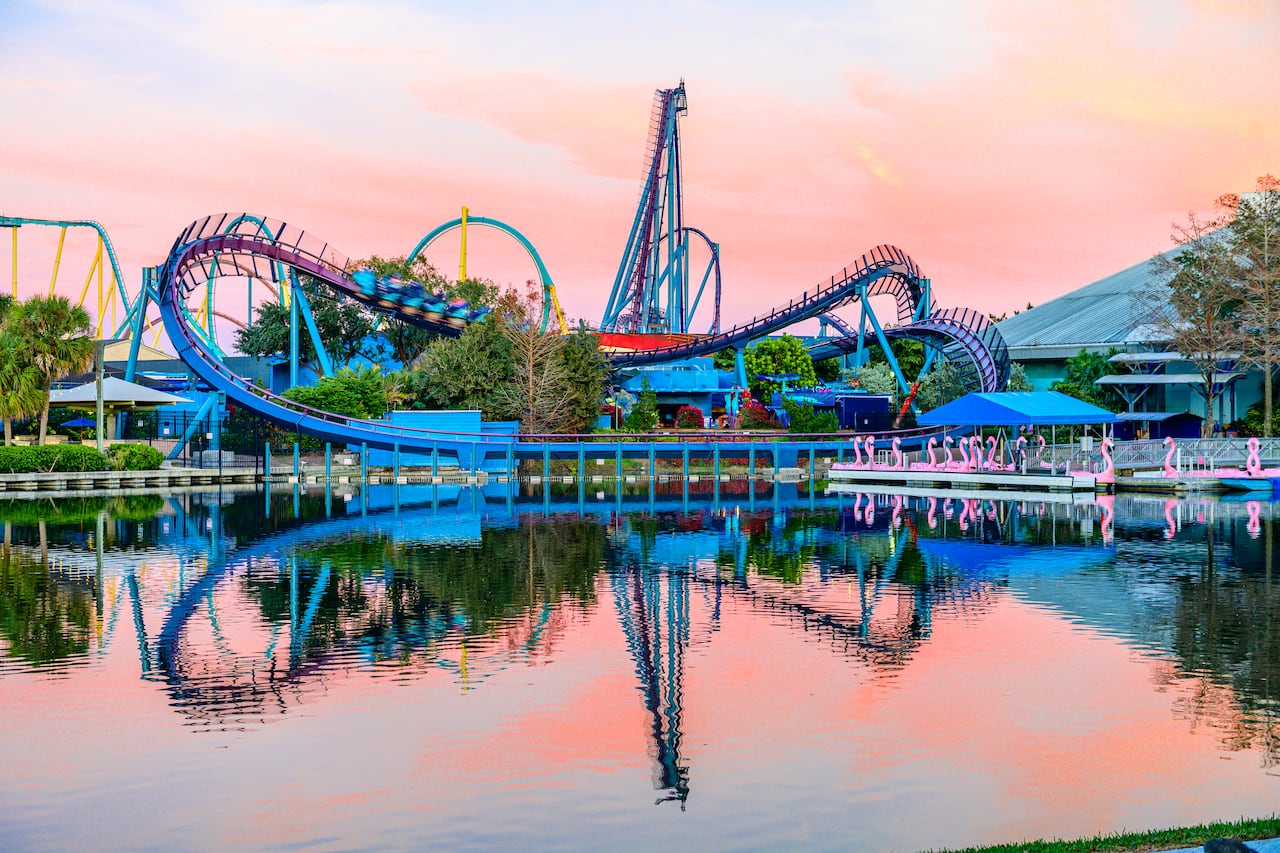 Cinco claves para vivir SeaWorld Orlando como un experto