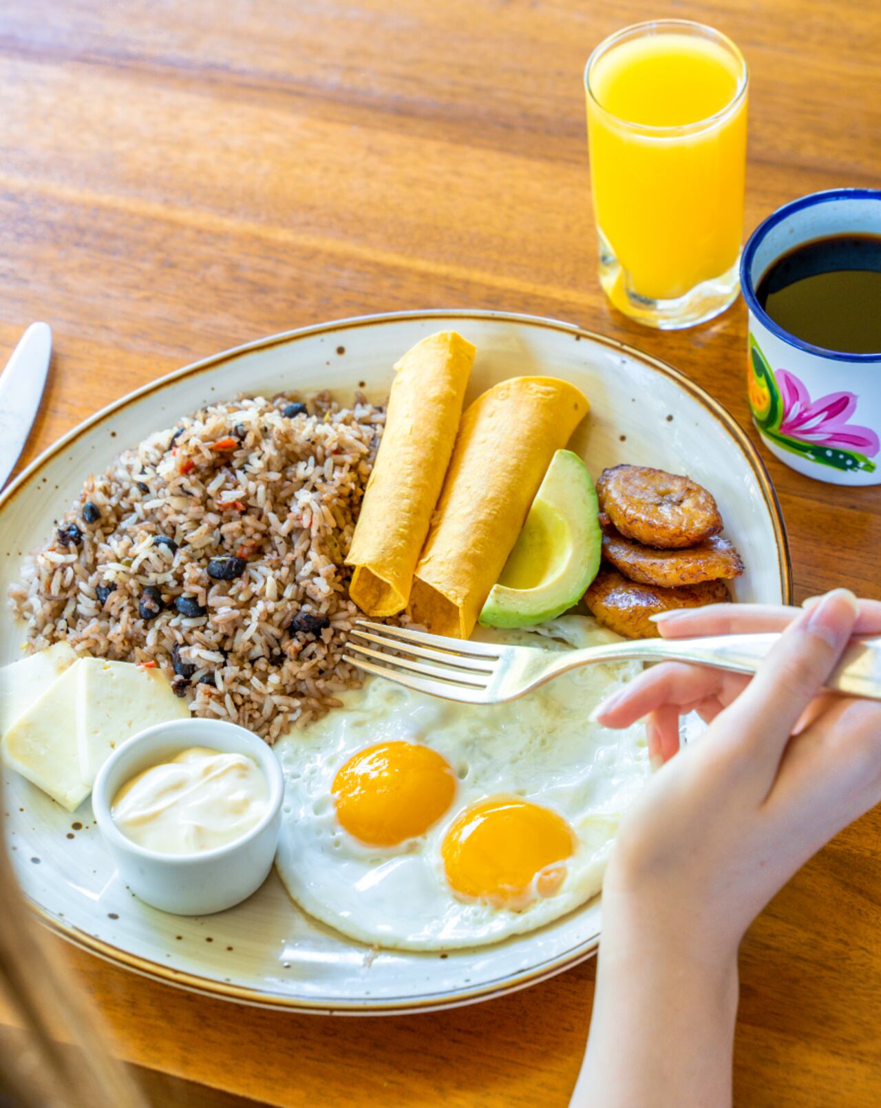 Gallo Pinto