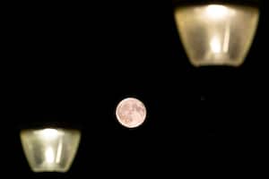 Colorful pink Strawberry moon illuminates the night sky behind street lights. Close-up of the June full moon, nicknamed as Strawberry moon as seen rising over residential area near the Dutch city of Eindhoven, between buildings and street lights. The moon, Luna our earth's natural satellite is illuminating the night sky. The Moon is an astronomical body orbiting Earth and is the planet's only natural satellite known as Selene or Luna. Eindhoven, Netherlands on June 2023 (Photo by Nicolas Economou/NurPhoto via Getty Images)