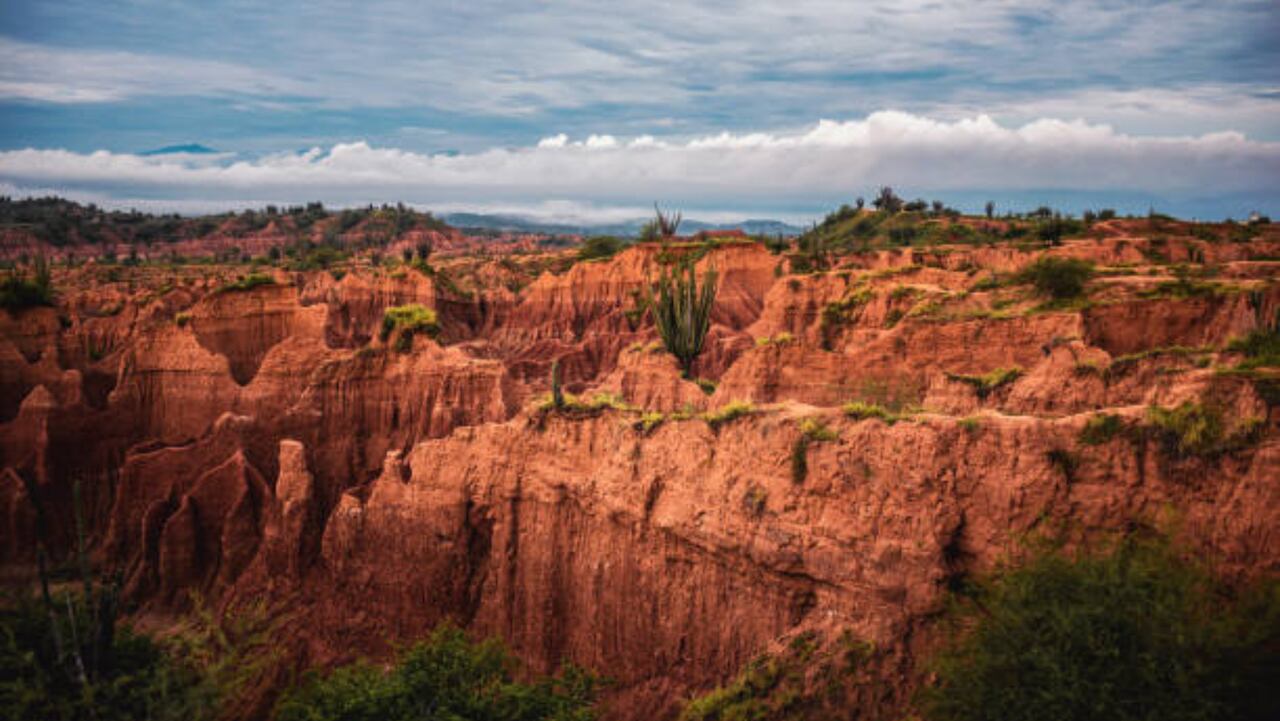 Desierto de la Tatacoa