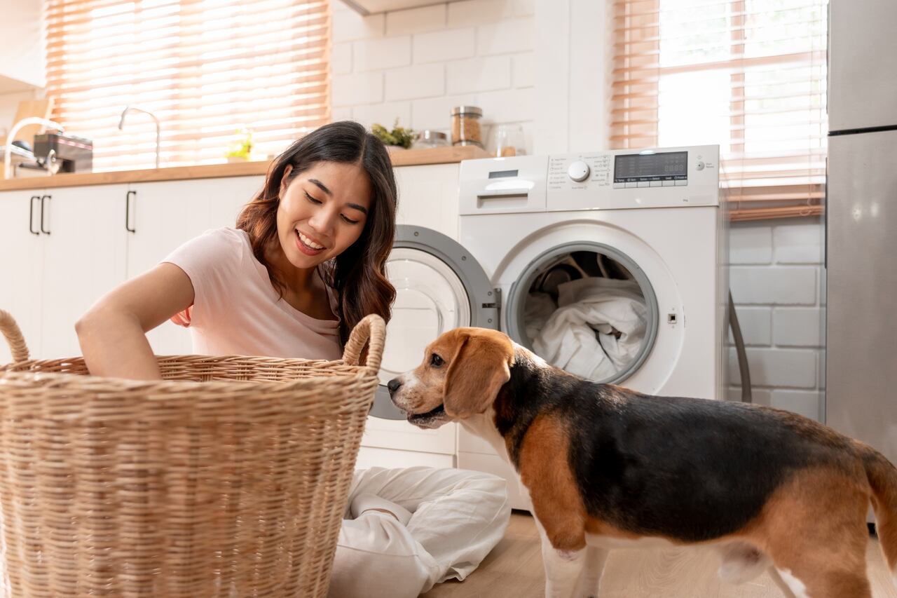 Los pelos de perros y gatos en la ropa suelen acumularse en la lavadora.