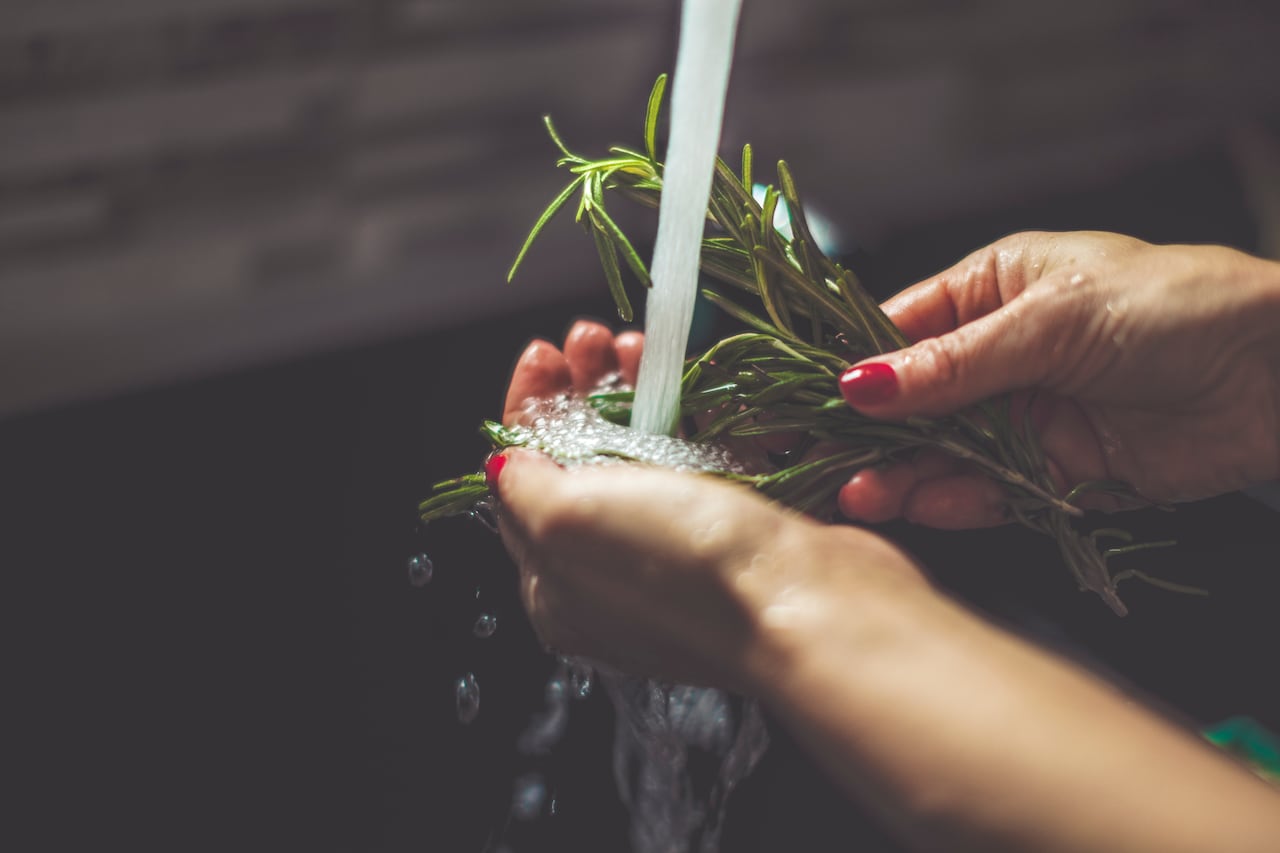 Agua de romero una alternativa natural para el cuidado del cabello