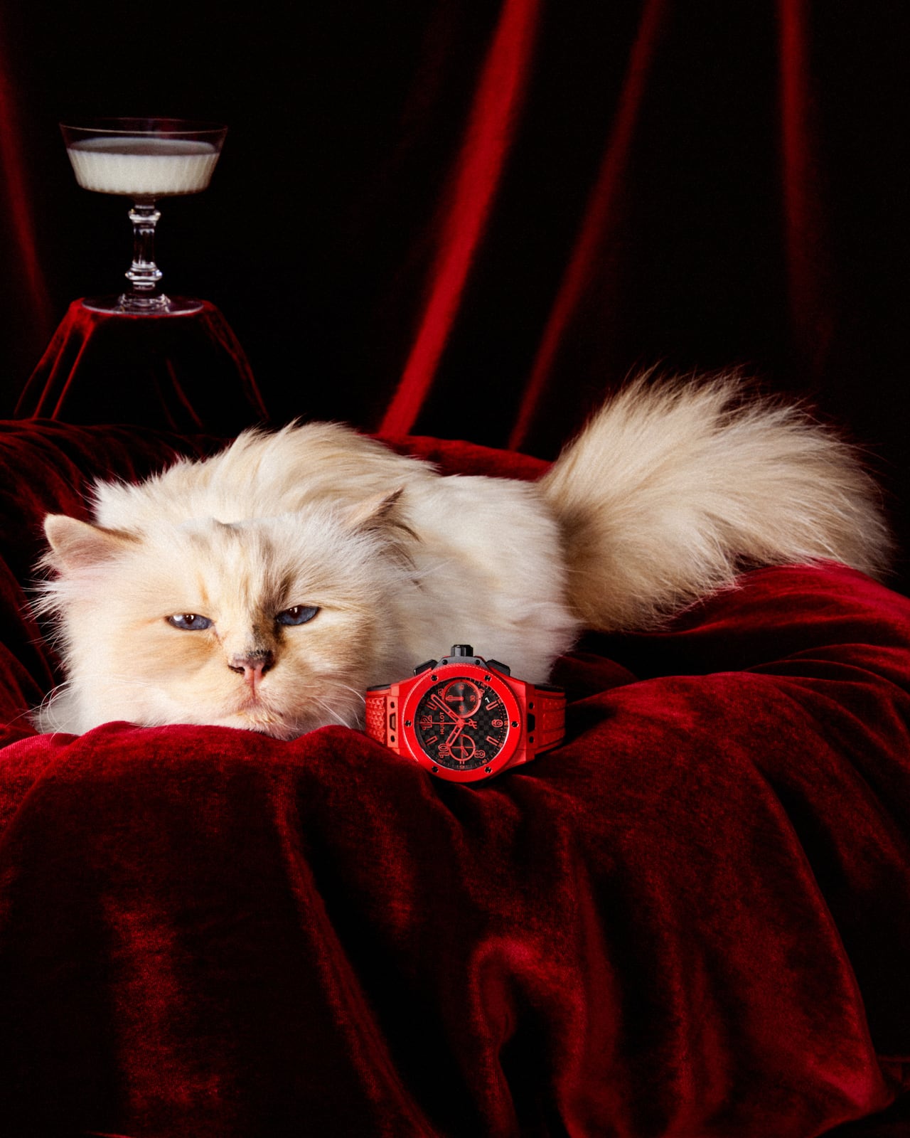 Choupette y Hublot: el arte de romper las reglas con estilo felino.
