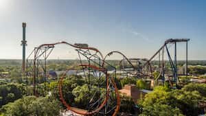 Busch Gardens Tampa Bay