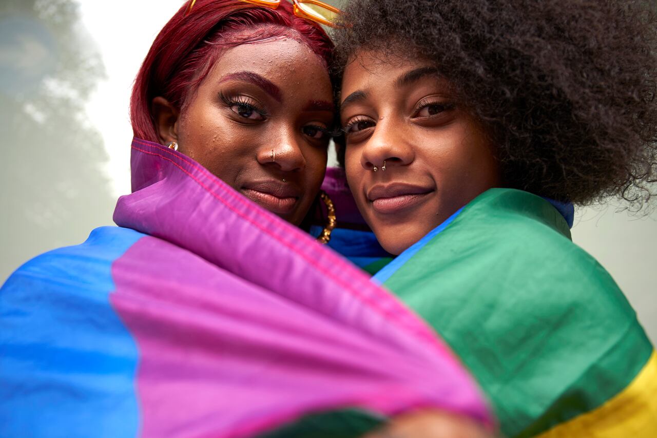 En Colombia, desde el 2011 la Corte Constitucional establece que las parejas homosexuales también son familia.