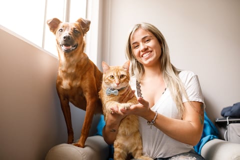 Adopción perros y gatos