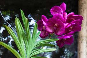 Colombia mostrará su biodiversidad en la Feria Internacional de Turismo (Fitur) 2023