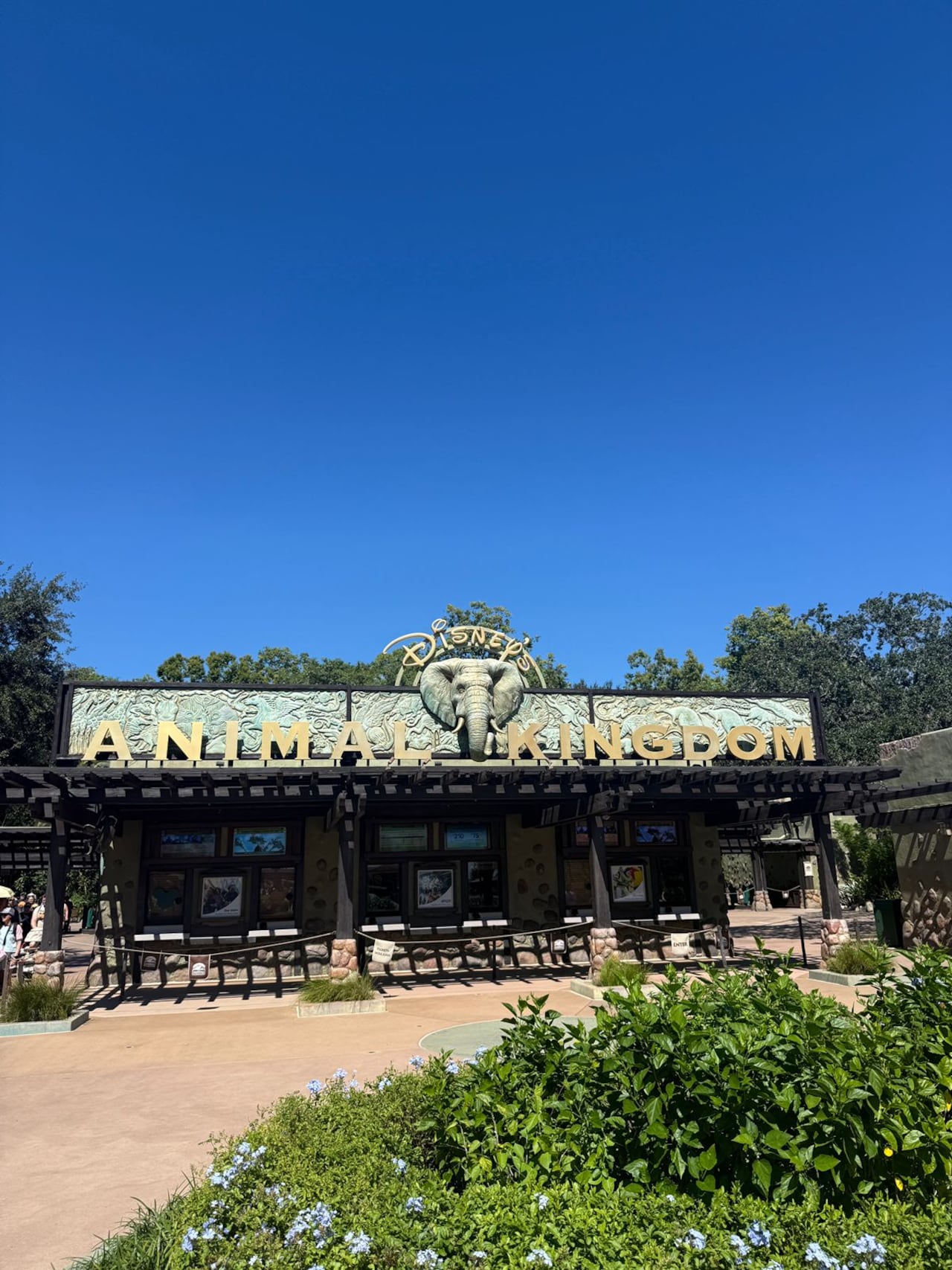 Animal Kingdom: donde la aventura y la naturaleza se viven a cada paso