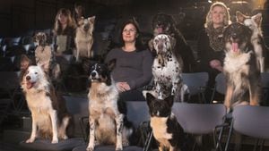 En Argentina se permitió el ingreso de perros a una sala de cine.