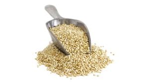 El amaranto es un cereal rico en fibra y minerales como el hierro y magnesio. Foto: Getty Images.